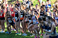 VARSITY GIRLS